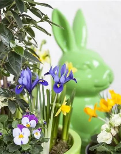 DAS GARTENPARADIES FüR OSTERHASEN