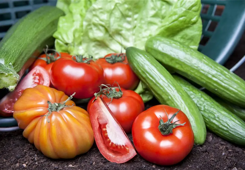 ALLES FÜR DEN BAUERNGARTEN